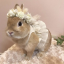 bunnyboyplayz