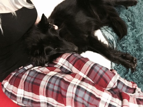 dogsaremypatronus: I have the morning shift so we’re getting our cuddling in early tonight.