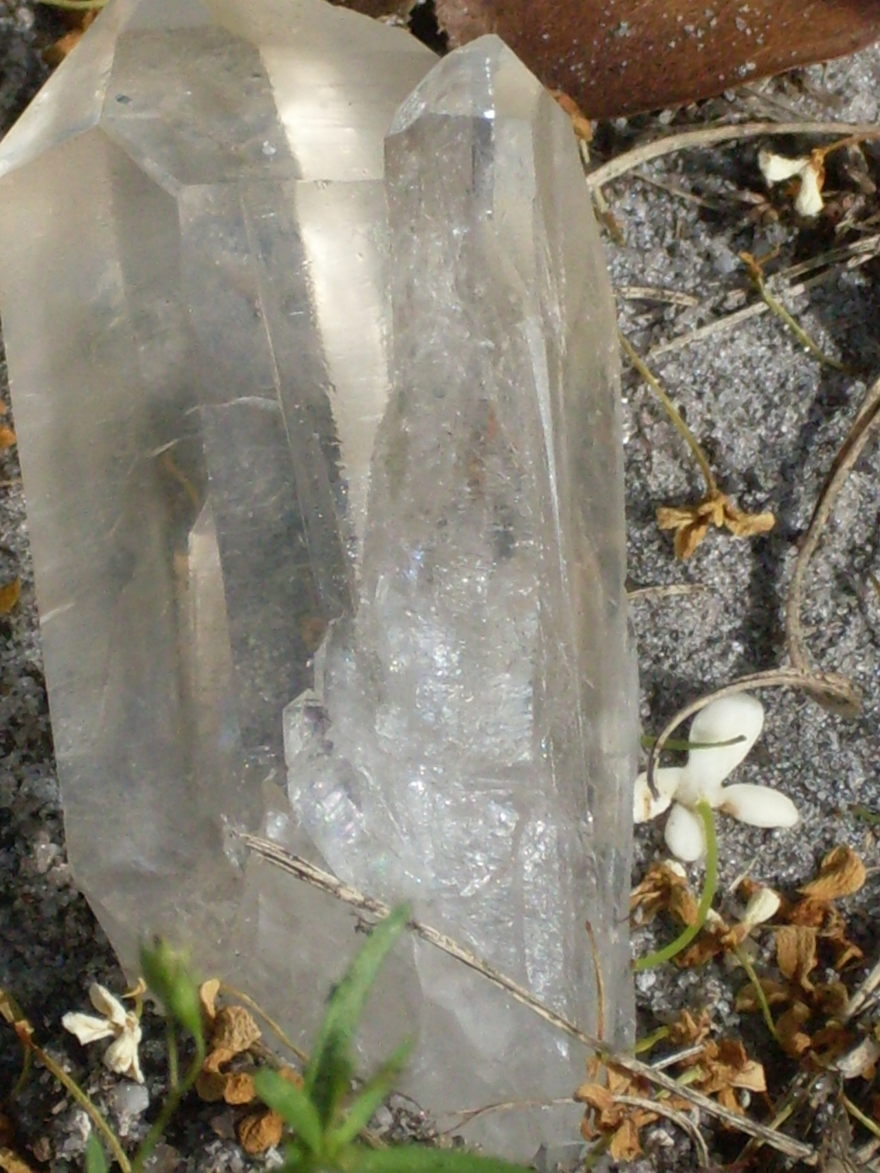 witch-forest:  A beautiful double-pointed Quartz Crystal I was incredibly attached