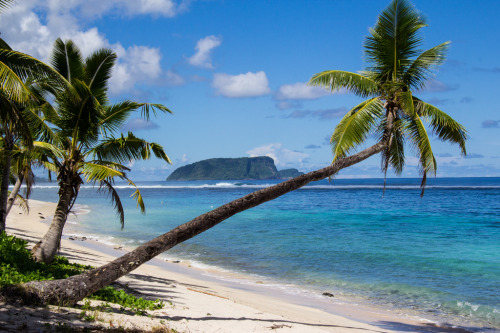 tropicaldestinations:  Samoa is a tropical destination that still feels untouched (by Andrew Moore) 