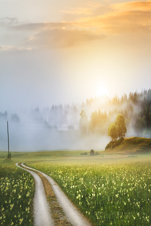 nordvarg:  (500px / Logatec -12- by Gorazd Kranjc)   
