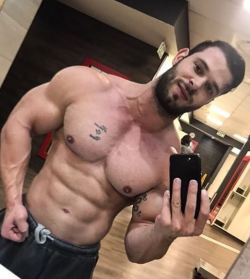 Muscle Blog