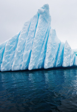 johnnybravo20:  Iceberg Amphitheater (by