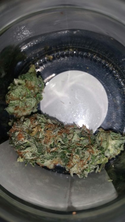 hugyourdrugs:sumdank