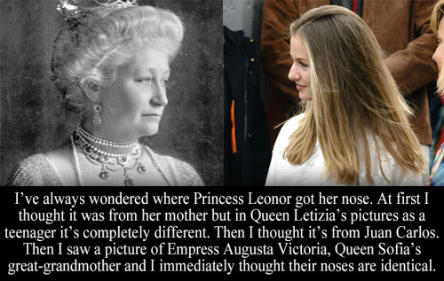 “I’ve always wondered where Princess Leonor got her nose. At first I thought it was from