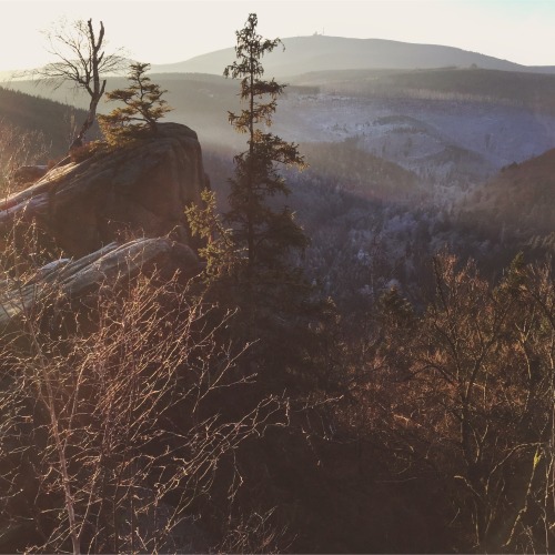 noirerora: Sonnenaufgang an der Rabenklippe mit Blick auf den Brocken by @noirerora