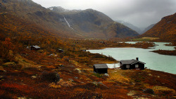 paveo:   traveling—soul:  Autumn in Norway. (by szefi)  