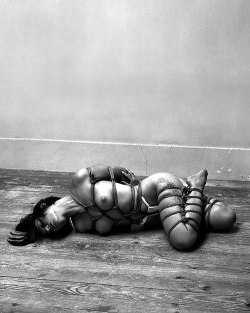 southernsassysub:  I can’t stop looking at this. Even though I know it’s posed, it just draws me in. The rigging is very well executed… lovely symmetry, even spacing, parallel lines, and spot-on tension. 