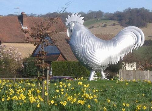afinnemorebestiary:TSE: And what made you want to come to Dorking?JF: Apparently you have a massive 