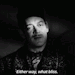 cool-ghoul:superchat:I got a question for you. What’s heavier? A kilogramme of steel?Or a kilogramme of feathers?