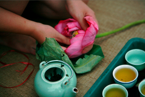 mugicha1:Chè sen Lotus Tea, photo by Hong DuongChè sen is a type of green tea produced in Vietnam th