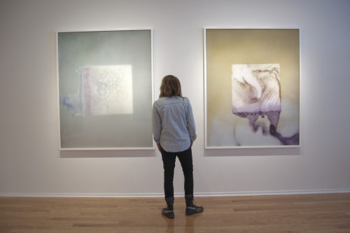 exhibition-ism: Check out the huge, experimental photographic process work from artist Brittany Nels