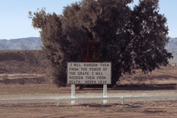 widespindriftgaze:  Death Valley, California