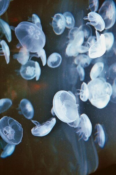 magic-of-eternity:  Source: vk.com 