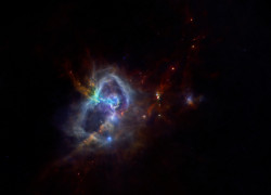 W40 *Seen For The First Time* 600 newly forming stars crowded into colourful filaments of dust that form a stellar nursery seen by Herschel space observatory