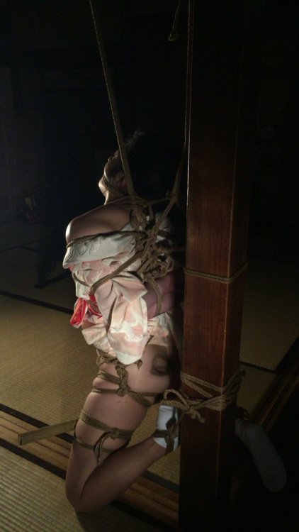 Porn Pics japanesebdsmofficial:Shibari Kasumi HouraiModel