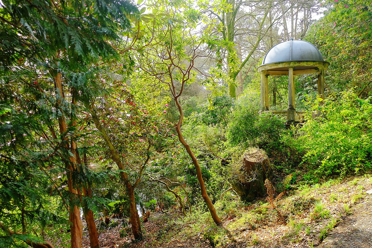 90377:  Portmeirion, Snowdonia National Park, UK.  Fujifilm. by Scott Wylie  