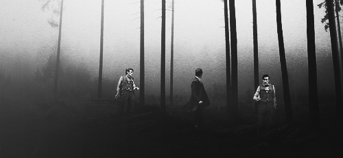 amypondelia:  The world was on fire, and no one could save me but you   url graphics: trvnzalore