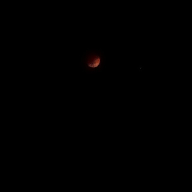 Beautiful blood moon 🌙 #bloodmoon #totalsolareclipse #rare #luna #bellaluna