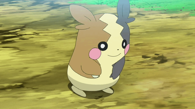 Pikachu clones/electric rodents, yes or no?