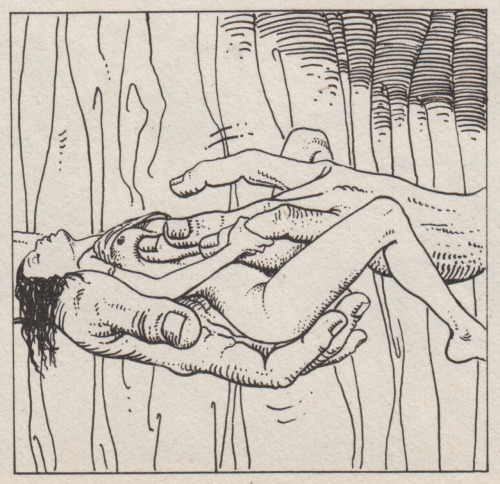 thelost-mermaid.tumblr.com/post/130202406623/