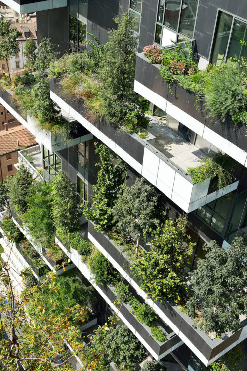 archatlas:  Bosco Verticale Boeri Studio (Stefano Boeri, Gianandrea Barreca, Giovanni La Varra) Italian architect Stefano Boeri designed this high-rise apartment buildings using trees and vegetation for its façade. ‘Bosco Verticale’ uses this