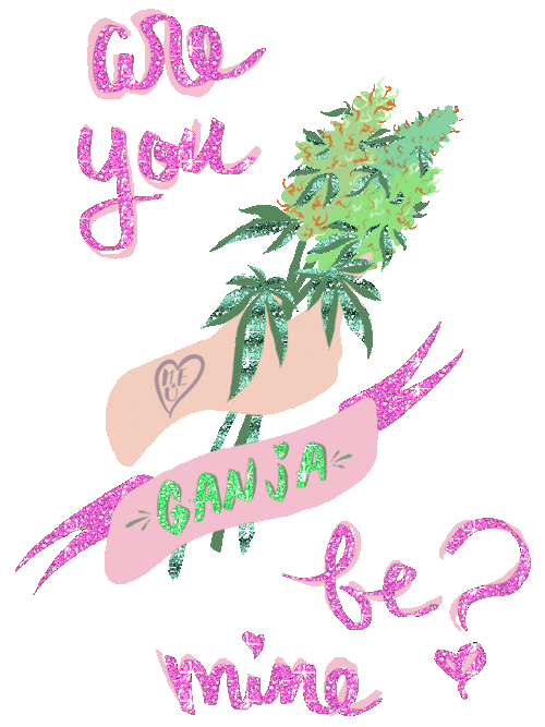 sydoodle: howdy my friends!!last year my friend Magdalena and I made some cute and cheesy stoner v