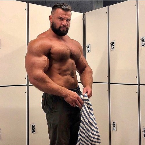 massivemanlymen:  His biceps seem ready to explode.  📸  @zeus_animal
