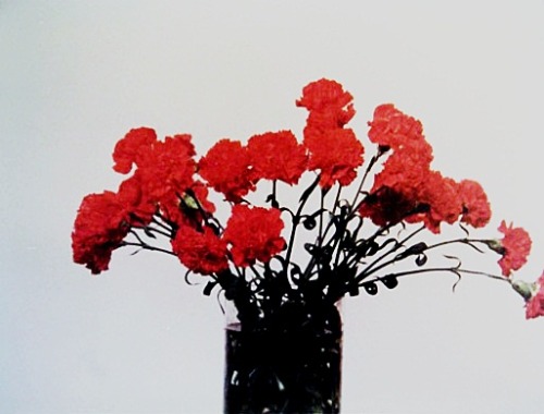 galasai:Bas Jan Ader - Primary Time, 1974