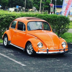 lanerussellvw:  A unique ‘67 Beetle color