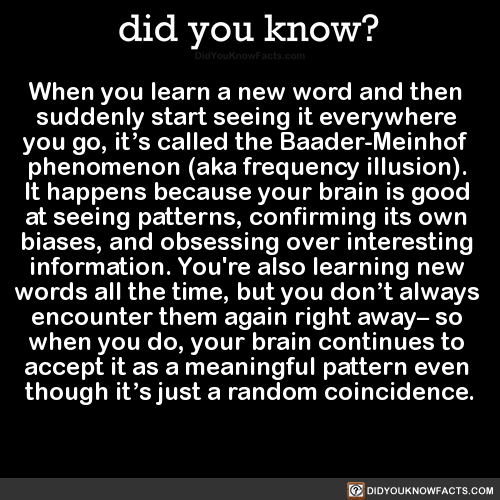 did-you-kno:  When you learn a new word and then  suddenly start seeing it everywhere
