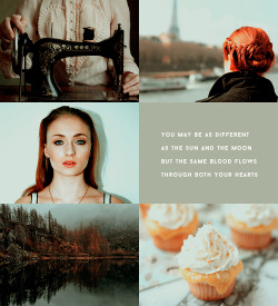 rhaegartarqaryen-deactivated201:  MODERN HOUSE STARK | sansa and arya 