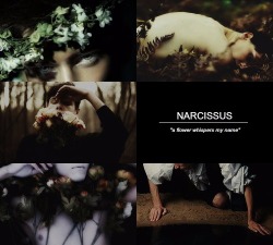 viα patroclux: Narcissus and EchoEcho