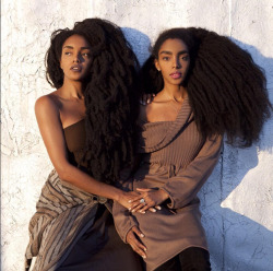 naturalhairqueens: Their hair is proof that