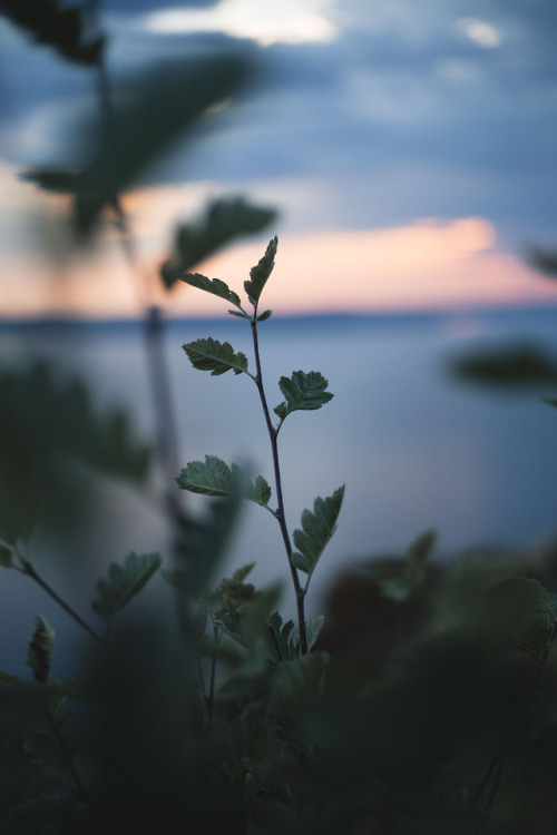 Instagram: www.instagram.com/jasper.schmidt/