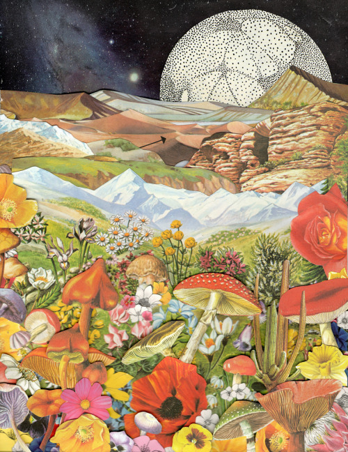 asylum-art:Psychedelic geographic collages by Ben Giles Artists on tumblr,  Flickr„Etsy„Society 6Ben Giles is a prolific, young collage artist from Suffolk, England. His outstanding eye for imagery allows him to create these psychedelic  geographic