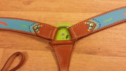 LOOOK!  I finally buckled down and went online shopping for a new headstall and breast plate for my guy. Hand-painted and brand new shipping here from Texas.. Hopefully it only takes about a week, so I have time to use them before the snow.. 