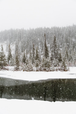 heyvian:  Flakes in the mountainsMassive snow flakes slowing floating around on our drive to Canmore this past weekend. First time taking Sibbald Creek Trail and Smith Dorrien to Canmore.  Tumblr  |  Facebook  |  Instagram  | Travel Photographer