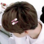 btsfvs