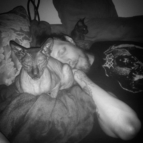 okkvlt: Aww those 3