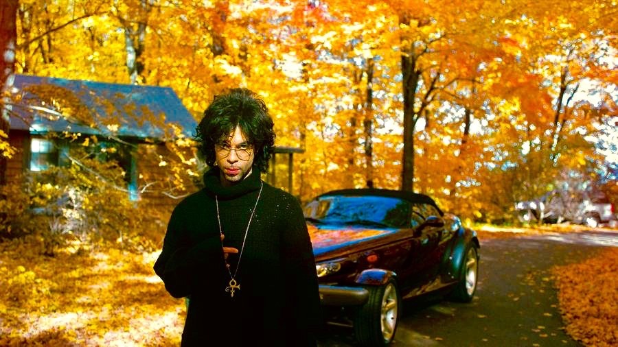 xtechnicolorclimax: Fall is in full swing 🍂🍃🍁🌿🍂