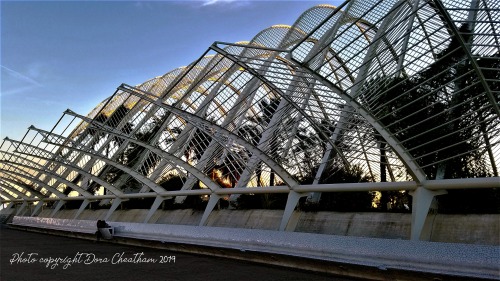 L’Umbracle - Valencia, Spain