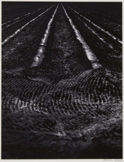 oysteros:  Liliane DeCock Irrigation (San Benito County, California, 1969) 