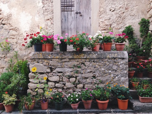 lecosecherestano:  Montalbano Elicona, Sicilia