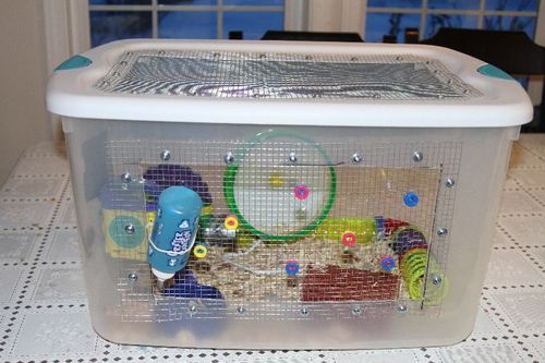 storage bin hamster cage