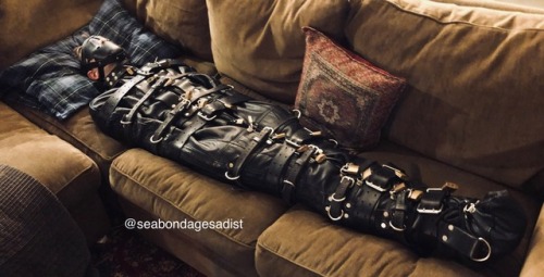 seabondagesadist: Sometimes a puppy just needs to be put away so it’s SIR can get things done without having to worry about it getting up to any mischief. Comfortable but well secured. @pupthraell was not going anywhere… 