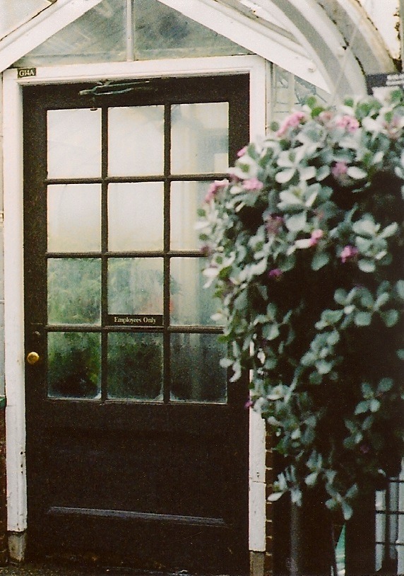 saint:  vintage blog