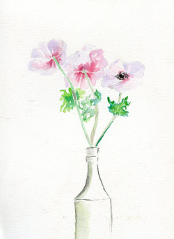 havekat: Anemones Three Watercolor and Chinese Ink On Paper 9″x 12″, 2015 Pale Pink Poppy Anemones 