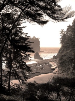 justemoinue2:  Ruby Beach on the Olympic