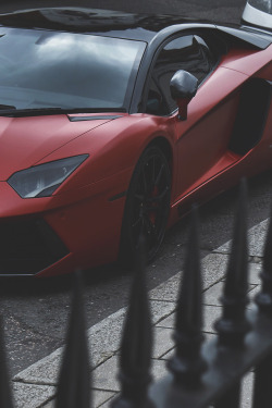 envyavenue:  Why So Serious? | Photographer